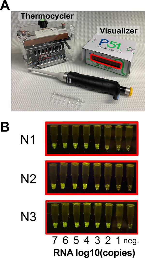https://cdn.ncbi.nlm.nih.gov/pmc/blobs/d981/8092748/f5443384eed0/JCM.02402-20-f0002.jpg