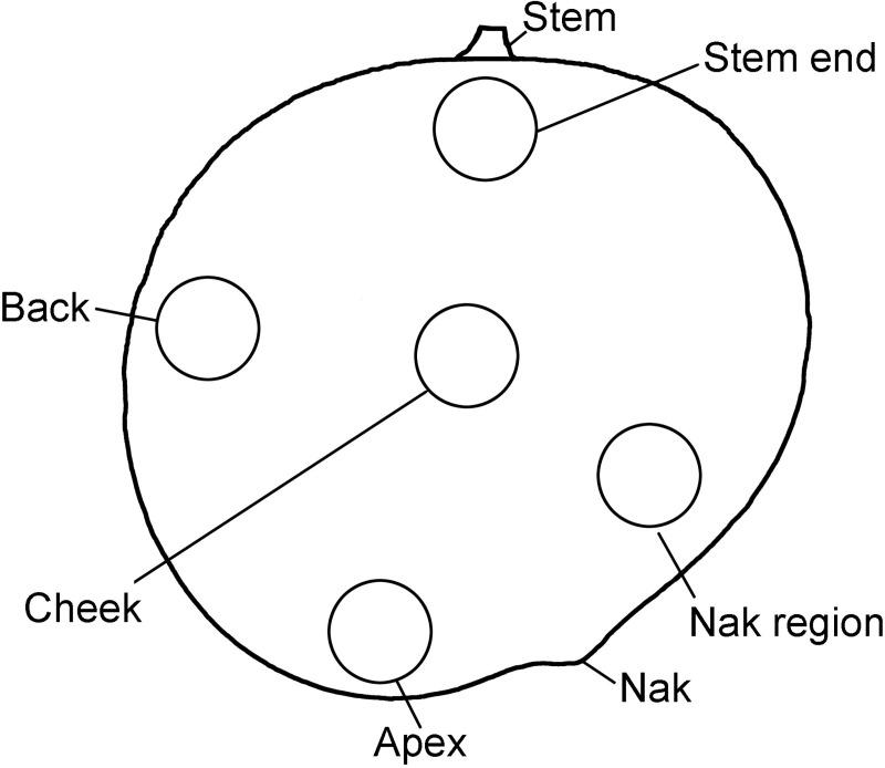 https://cdn.ncbi.nlm.nih.gov/pmc/blobs/d982/8513900/533477e5b9c9/pone.0258521.g001.jpg