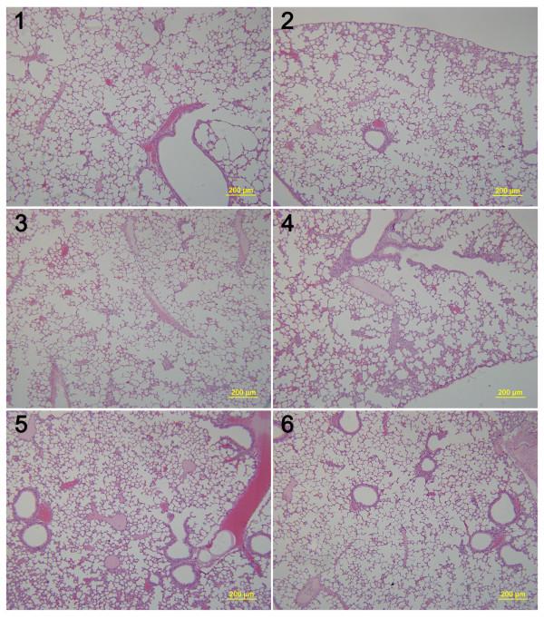 https://cdn.ncbi.nlm.nih.gov/pmc/blobs/d984/4023534/0aee580f0f29/1471-2407-14-329-7.jpg