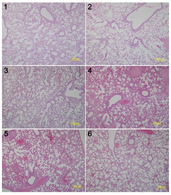 https://cdn.ncbi.nlm.nih.gov/pmc/blobs/d984/4023534/5c0622200efb/1471-2407-14-329-6.jpg