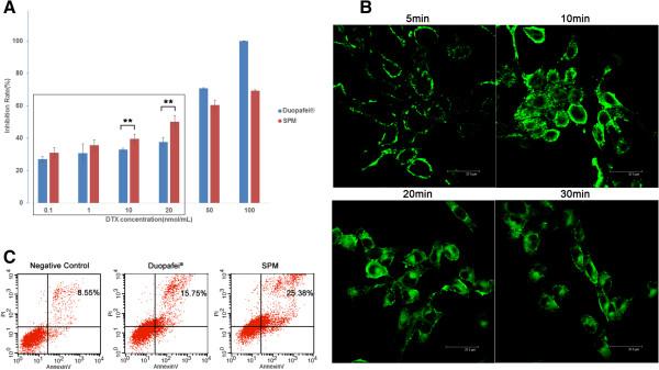 https://cdn.ncbi.nlm.nih.gov/pmc/blobs/d984/4023534/625b5aedda4a/1471-2407-14-329-2.jpg