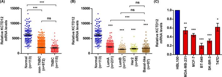 https://cdn.ncbi.nlm.nih.gov/pmc/blobs/d985/7439418/9fcd20954821/JCLA-34-e23315-g002.jpg