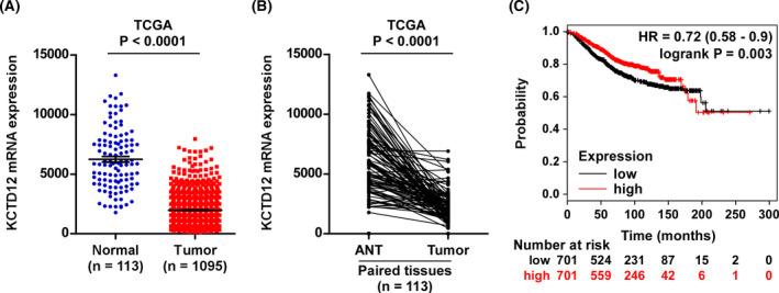 https://cdn.ncbi.nlm.nih.gov/pmc/blobs/d985/7439418/f56e72e65084/JCLA-34-e23315-g001.jpg