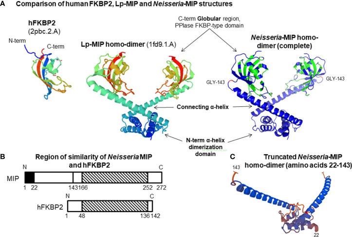 https://cdn.ncbi.nlm.nih.gov/pmc/blobs/d985/8981591/48be7672ee0b/fcimb-12-861489-g001.jpg