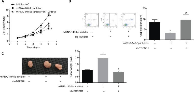 https://cdn.ncbi.nlm.nih.gov/pmc/blobs/d988/6389000/91bd4ee16cc5/cmar-11-1641Fig8.jpg