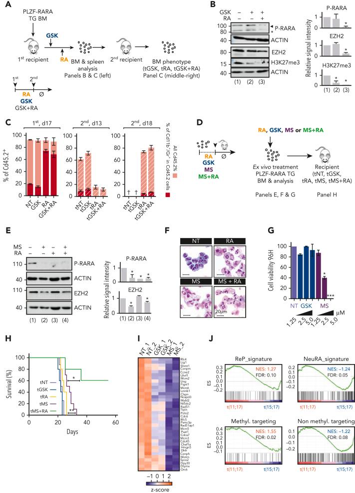https://cdn.ncbi.nlm.nih.gov/pmc/blobs/d989/10653050/3d67b94a44b4/BLOOD_BLD-2022-015668-gr5.jpg