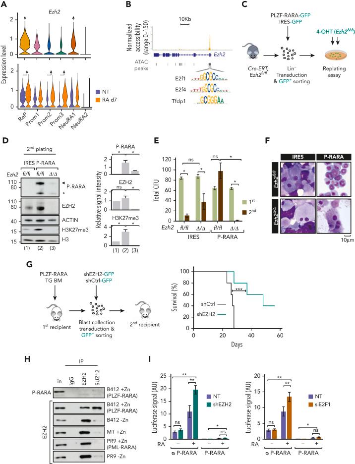 https://cdn.ncbi.nlm.nih.gov/pmc/blobs/d989/10653050/7d798c292bf3/BLOOD_BLD-2022-015668-gr3.jpg