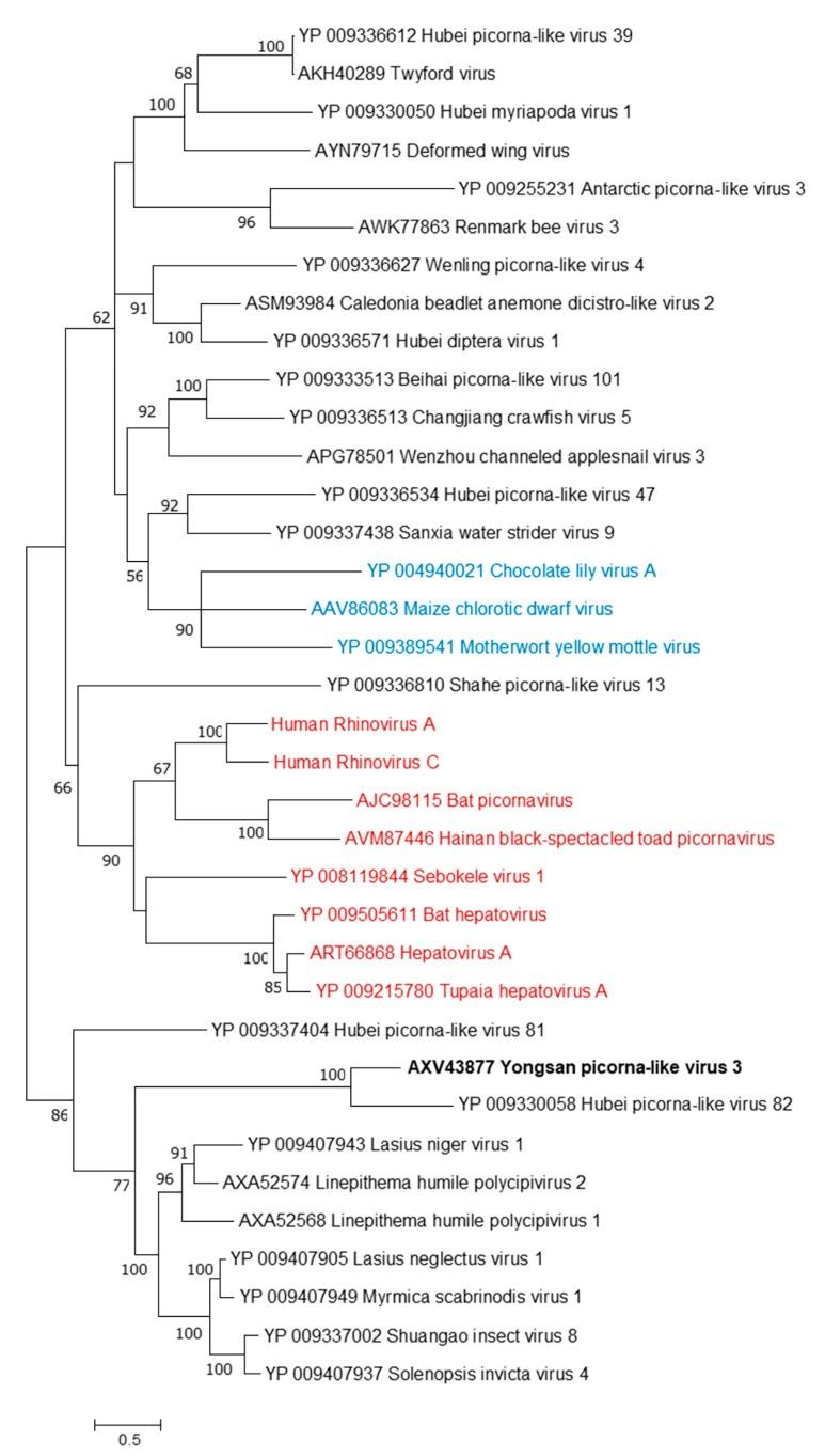 https://cdn.ncbi.nlm.nih.gov/pmc/blobs/d989/6466275/255771d9e133/viruses-11-00222-g004.jpg