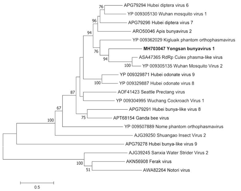https://cdn.ncbi.nlm.nih.gov/pmc/blobs/d989/6466275/b835cd1f36ee/viruses-11-00222-g003.jpg