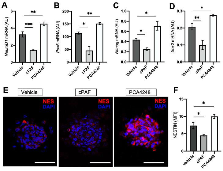 https://cdn.ncbi.nlm.nih.gov/pmc/blobs/d98a/10970094/526d7d9a7a06/ijms-25-03084-g006.jpg