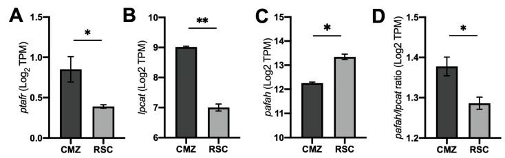 https://cdn.ncbi.nlm.nih.gov/pmc/blobs/d98a/10970094/5a1255aa194c/ijms-25-03084-g002.jpg