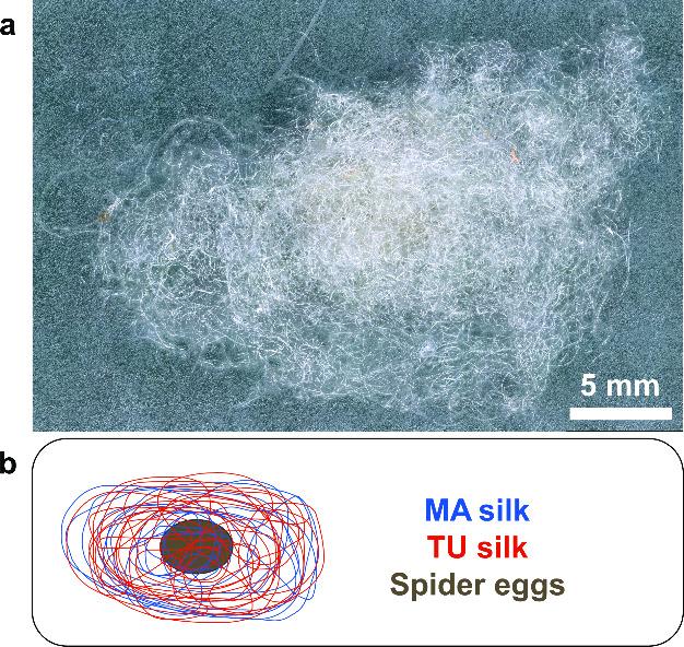 https://cdn.ncbi.nlm.nih.gov/pmc/blobs/d98a/11836930/efbee9cff180/mt4c01587_0001.jpg