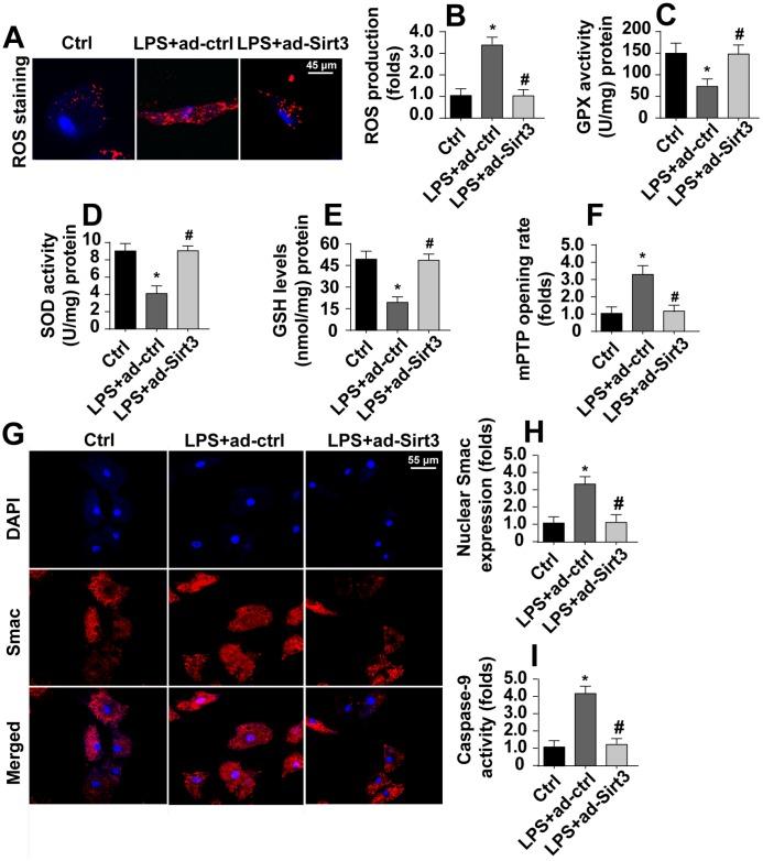 https://cdn.ncbi.nlm.nih.gov/pmc/blobs/d98a/6834423/a155ddd0c29c/aging-11-102375-g003.jpg