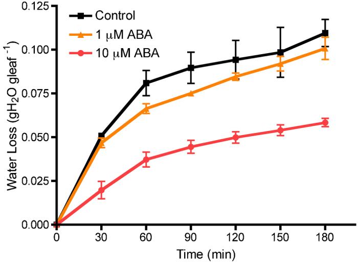 https://cdn.ncbi.nlm.nih.gov/pmc/blobs/d98b/4591676/6679c7a65404/hortres20142-f2.jpg