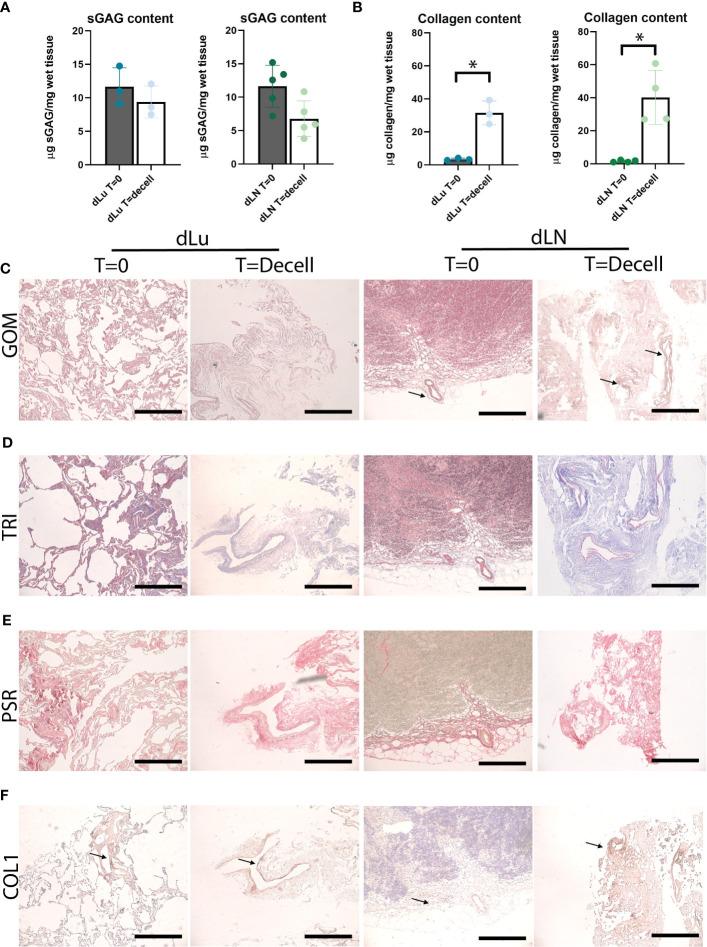 https://cdn.ncbi.nlm.nih.gov/pmc/blobs/d98b/9890173/382eba0a9051/fonc-12-1101901-g002.jpg
