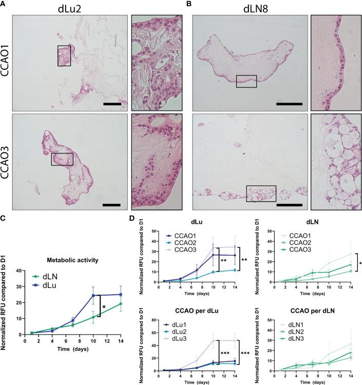 https://cdn.ncbi.nlm.nih.gov/pmc/blobs/d98b/9890173/8d2a8eacfe9d/fonc-12-1101901-g006.jpg