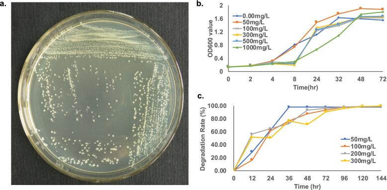 https://cdn.ncbi.nlm.nih.gov/pmc/blobs/d98e/9022240/a8150165f596/12864_2022_8507_Fig1_HTML.jpg