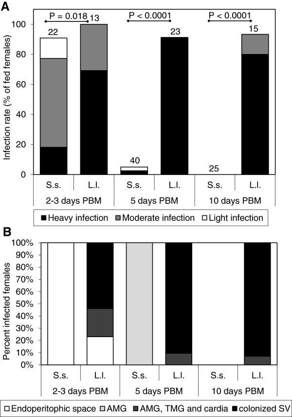 https://cdn.ncbi.nlm.nih.gov/pmc/blobs/d98f/3751727/266b71f50ce3/1756-3305-6-186-2.jpg