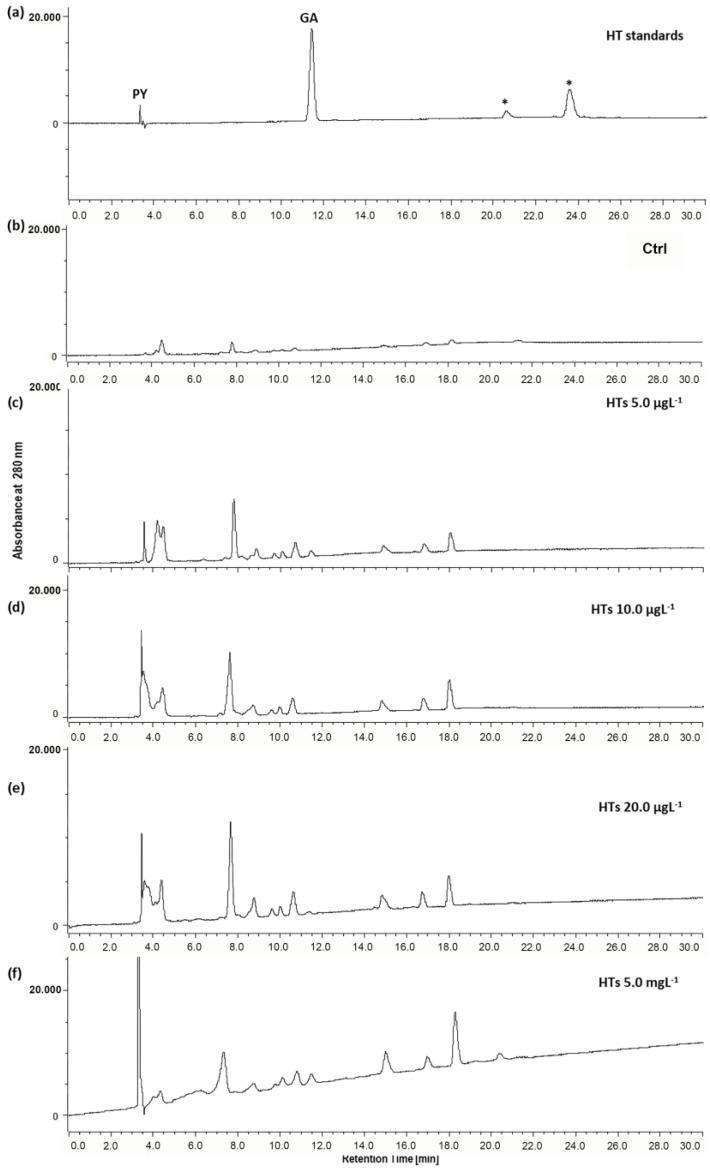 https://cdn.ncbi.nlm.nih.gov/pmc/blobs/d993/11241311/1f128f5de52d/ijms-25-07063-g003.jpg