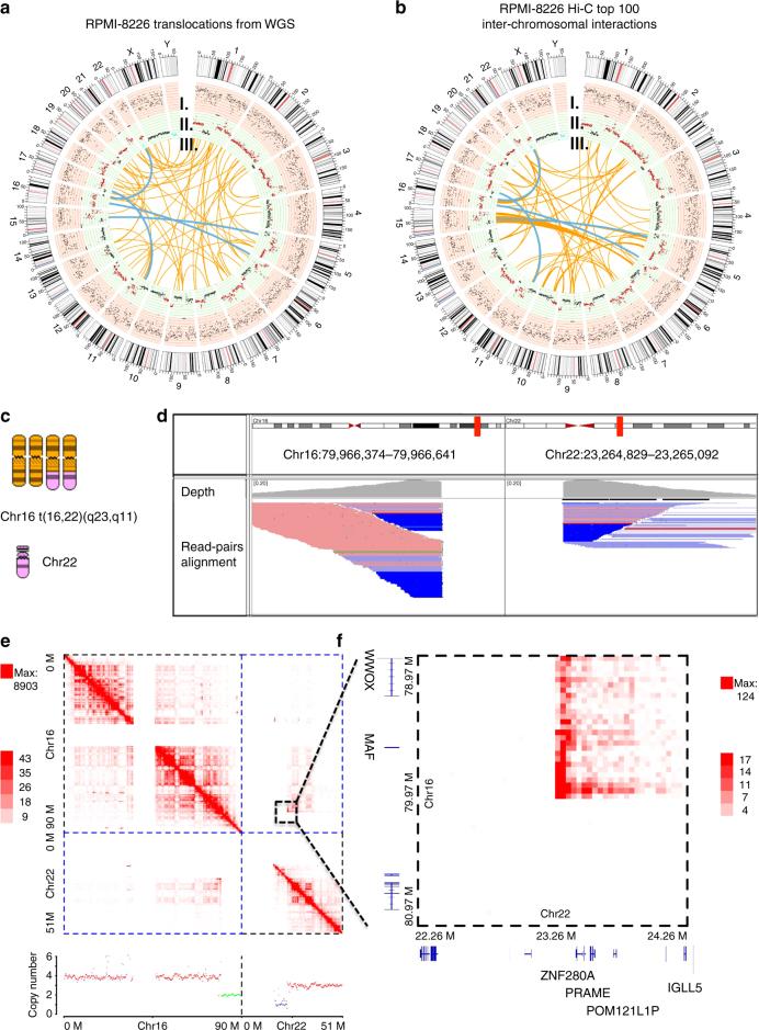 https://cdn.ncbi.nlm.nih.gov/pmc/blobs/d993/5715138/ac842d1e17b0/41467_2017_1793_Fig2_HTML.jpg