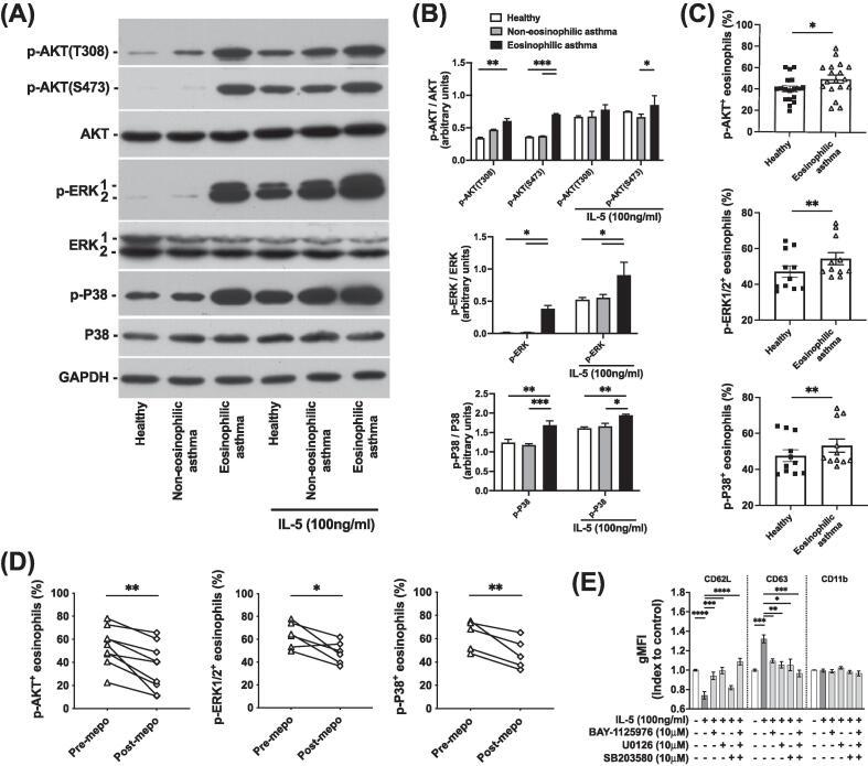 https://cdn.ncbi.nlm.nih.gov/pmc/blobs/d995/11649845/2e3da102fa01/gr5.jpg