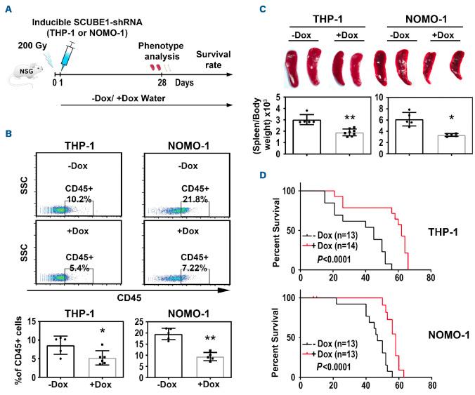 https://cdn.ncbi.nlm.nih.gov/pmc/blobs/d996/10153537/0c70fbb09426/1081284.fig3.jpg