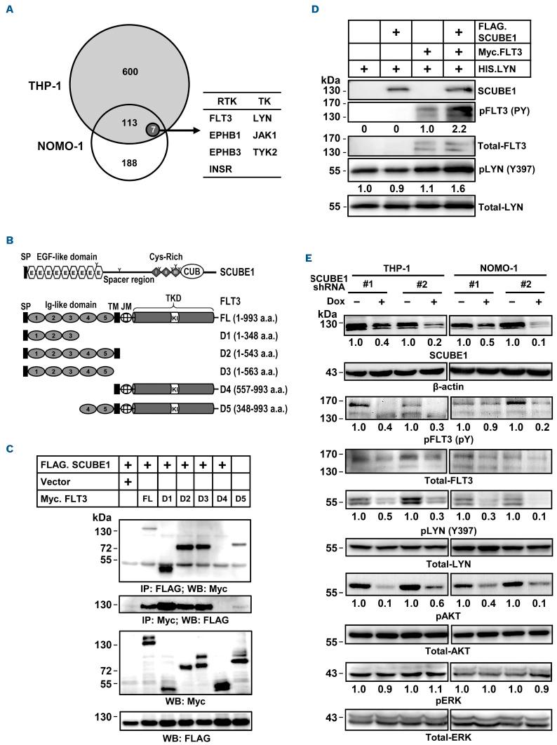 https://cdn.ncbi.nlm.nih.gov/pmc/blobs/d996/10153537/54ba1be4cc74/1081284.fig6.jpg