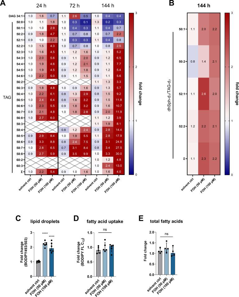 https://cdn.ncbi.nlm.nih.gov/pmc/blobs/d996/11323541/1ed68cf556d3/mbio.00732-24.f006.jpg