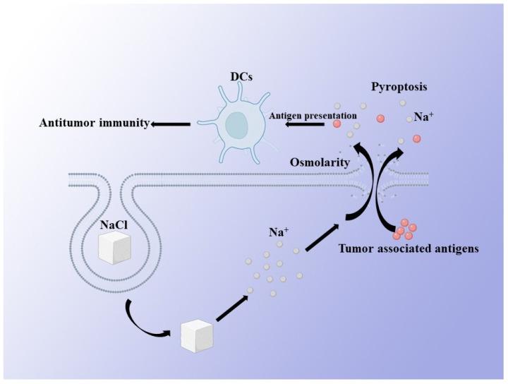 https://cdn.ncbi.nlm.nih.gov/pmc/blobs/d998/8870137/4c2d5326eae8/biosensors-12-00100-g003.jpg