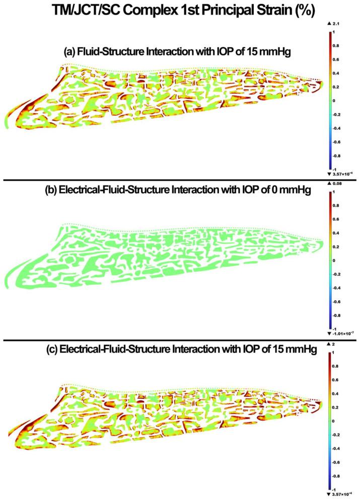 https://cdn.ncbi.nlm.nih.gov/pmc/blobs/d999/9740116/2cc9fe1930f3/cells-11-03925-g005.jpg