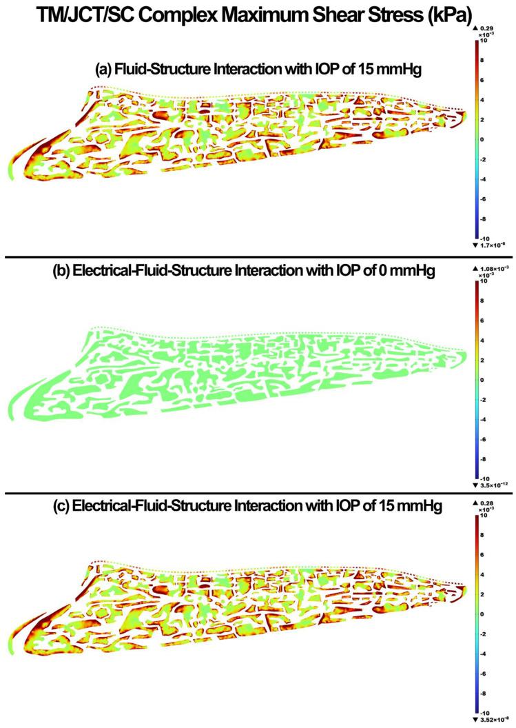 https://cdn.ncbi.nlm.nih.gov/pmc/blobs/d999/9740116/35d2c0dabcec/cells-11-03925-g006.jpg