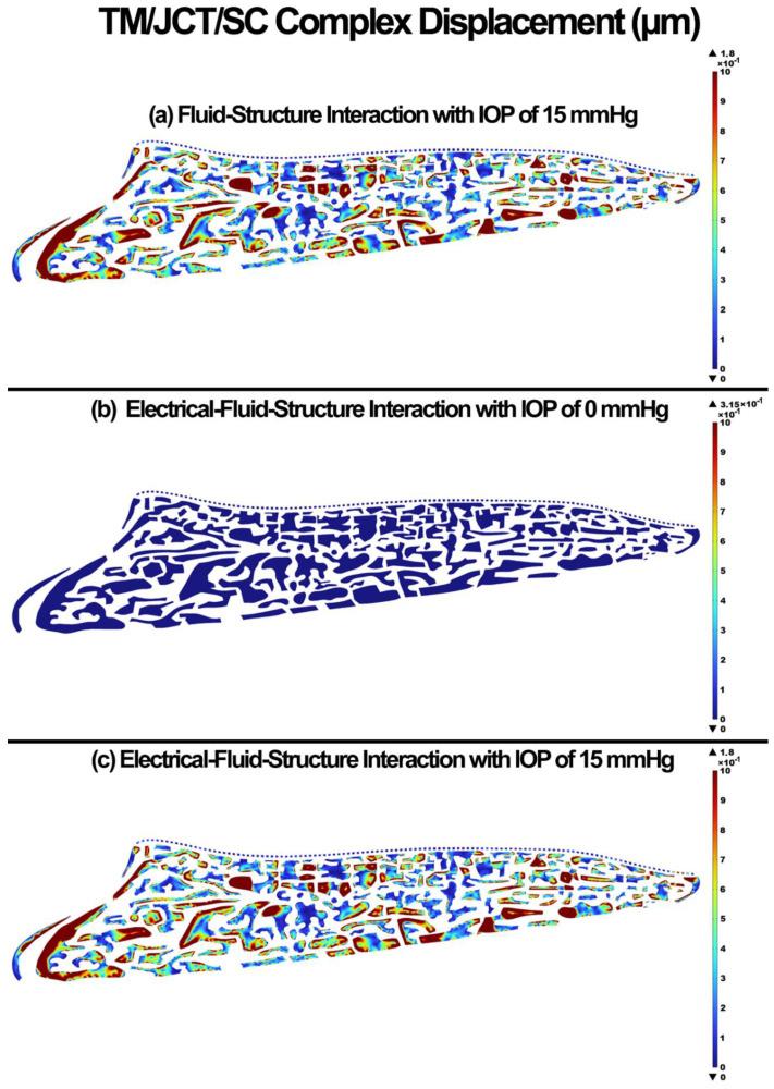 https://cdn.ncbi.nlm.nih.gov/pmc/blobs/d999/9740116/724f97979daa/cells-11-03925-g008.jpg