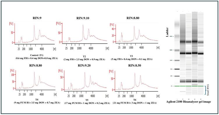 https://cdn.ncbi.nlm.nih.gov/pmc/blobs/d99a/11769279/077bb868ba66/toxins-17-00001-g006.jpg