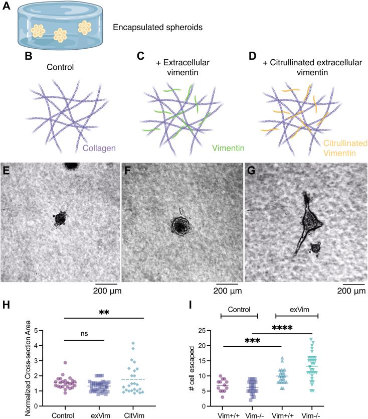 https://cdn.ncbi.nlm.nih.gov/pmc/blobs/d99d/10392088/d986c41dc17b/gr5.jpg