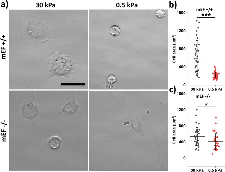 https://cdn.ncbi.nlm.nih.gov/pmc/blobs/d99d/10392088/f899c9f6cced/figs3.jpg