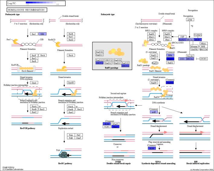 https://cdn.ncbi.nlm.nih.gov/pmc/blobs/d99d/9792769/a5957c4e32e4/fgene-13-1015531-g001.jpg