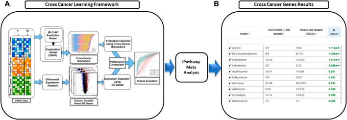https://cdn.ncbi.nlm.nih.gov/pmc/blobs/d99d/9792769/e8009594da85/fgene-13-1015531-g006.jpg