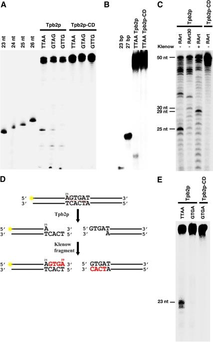 https://cdn.ncbi.nlm.nih.gov/pmc/blobs/d99e/2869380/f70a6d43a57a/zmk0101094510008.jpg