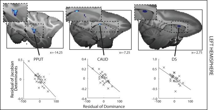 https://cdn.ncbi.nlm.nih.gov/pmc/blobs/d99e/4151964/aa3184dfc280/pbio.1001940.g004.jpg