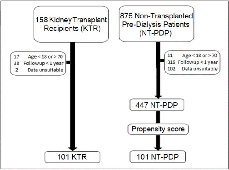 https://cdn.ncbi.nlm.nih.gov/pmc/blobs/d9a0/8428639/2a7262b4ed6e/2175-8239-jbn-2019-0239-gf01.jpg