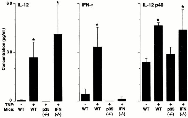 https://cdn.ncbi.nlm.nih.gov/pmc/blobs/d9a6/2195918/2cafe53a7d9b/JEM000397.f2.jpg