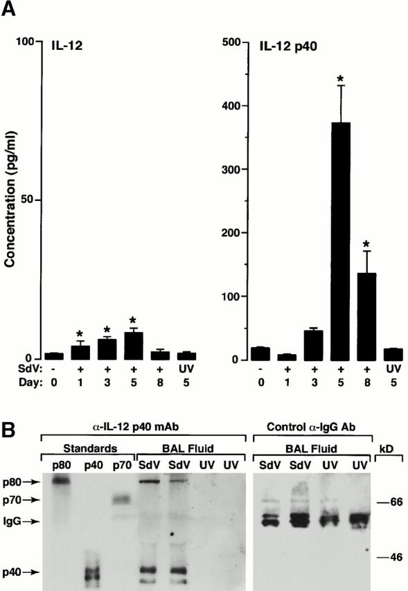 https://cdn.ncbi.nlm.nih.gov/pmc/blobs/d9a6/2195918/9b557aeda887/JEM000397.f5.jpg