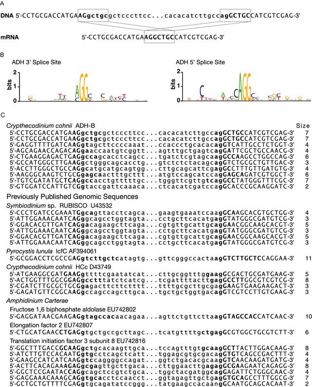 https://cdn.ncbi.nlm.nih.gov/pmc/blobs/d9a8/5032977/88f140d46151/JEU-62-679-g002.jpg