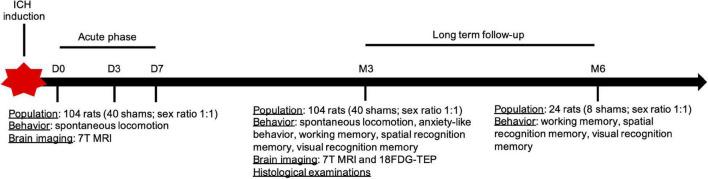 https://cdn.ncbi.nlm.nih.gov/pmc/blobs/d9a8/9280302/ca33e8e2b2d0/fnins-16-882996-g001.jpg