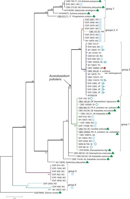 https://cdn.ncbi.nlm.nih.gov/pmc/blobs/d9a9/2610310/60b26aa610fc/21fig2.jpg