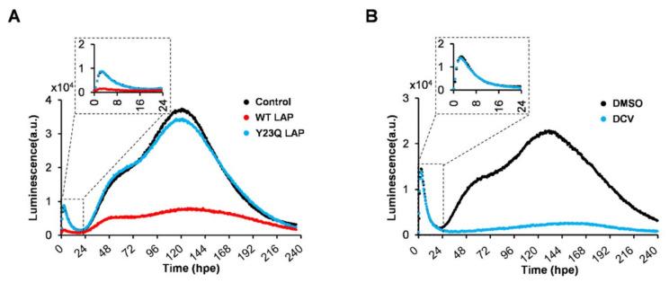 https://cdn.ncbi.nlm.nih.gov/pmc/blobs/d9a9/9368937/eea90780198d/ijms-23-08711-g002.jpg