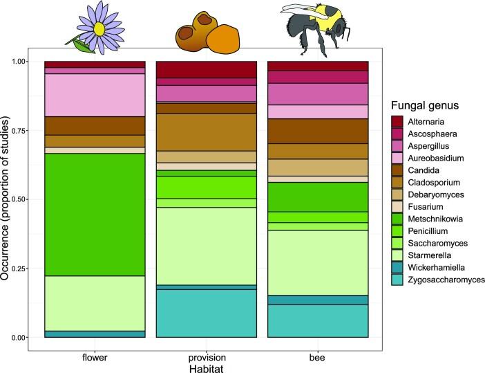 https://cdn.ncbi.nlm.nih.gov/pmc/blobs/d9aa/10370288/415e646fbc7d/fiad077fig2.jpg
