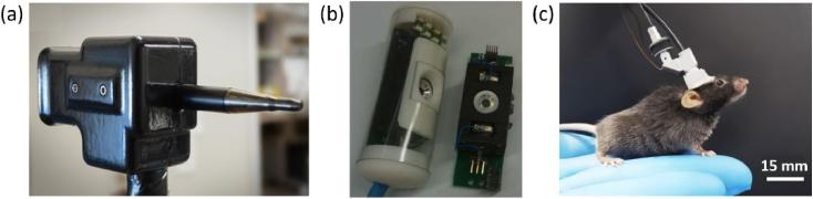 https://cdn.ncbi.nlm.nih.gov/pmc/blobs/d9ab/10898578/dadb33ad2a38/boe-14-12-6542-g010.jpg