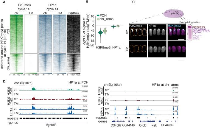 https://cdn.ncbi.nlm.nih.gov/pmc/blobs/d9ac/11217351/1cfcca9b899b/44318_2024_127_Fig4_HTML.jpg