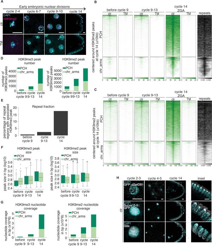 https://cdn.ncbi.nlm.nih.gov/pmc/blobs/d9ac/11217351/5829a867d171/44318_2024_127_Fig7_ESM.jpg